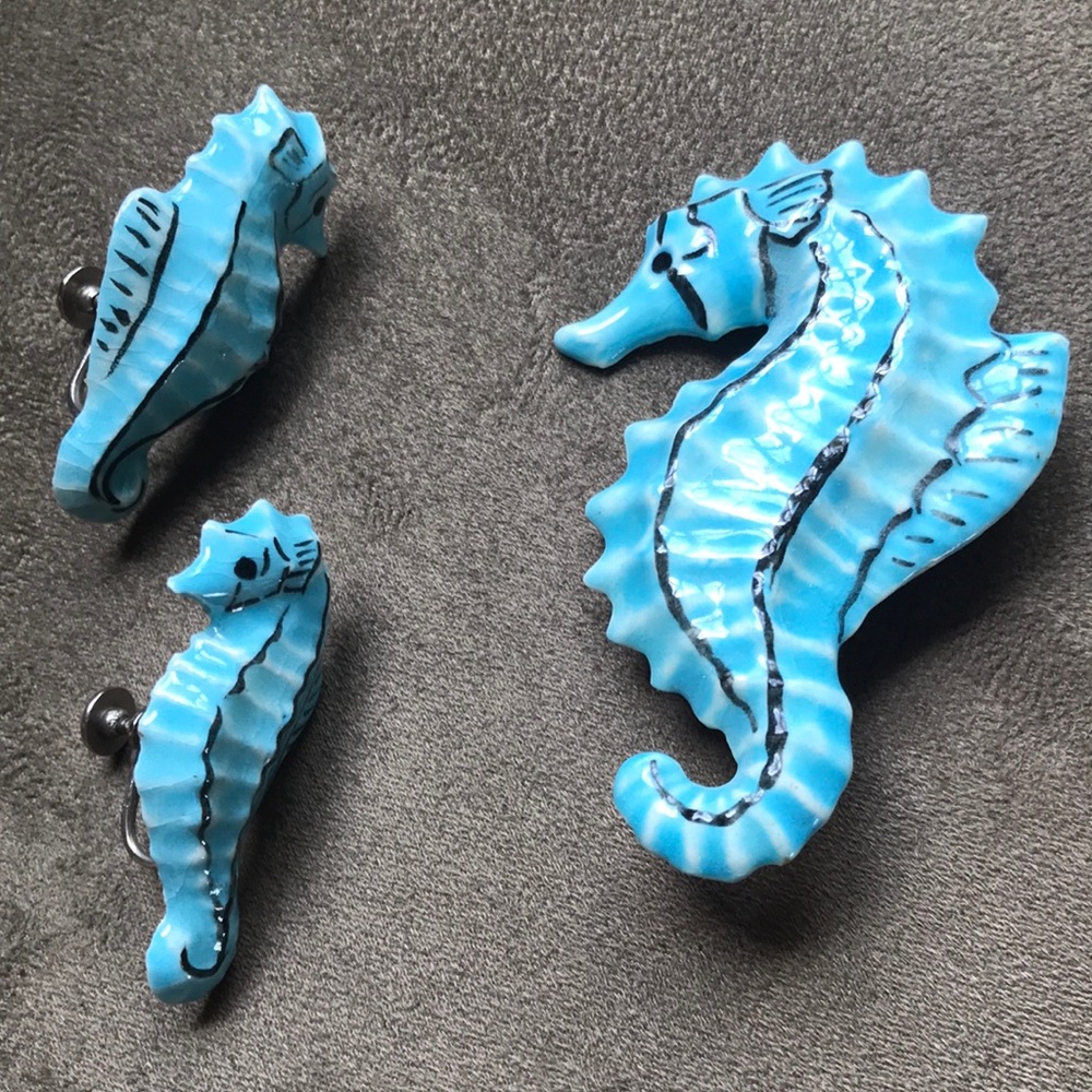 ✨Sea horse earrings and pin set✨